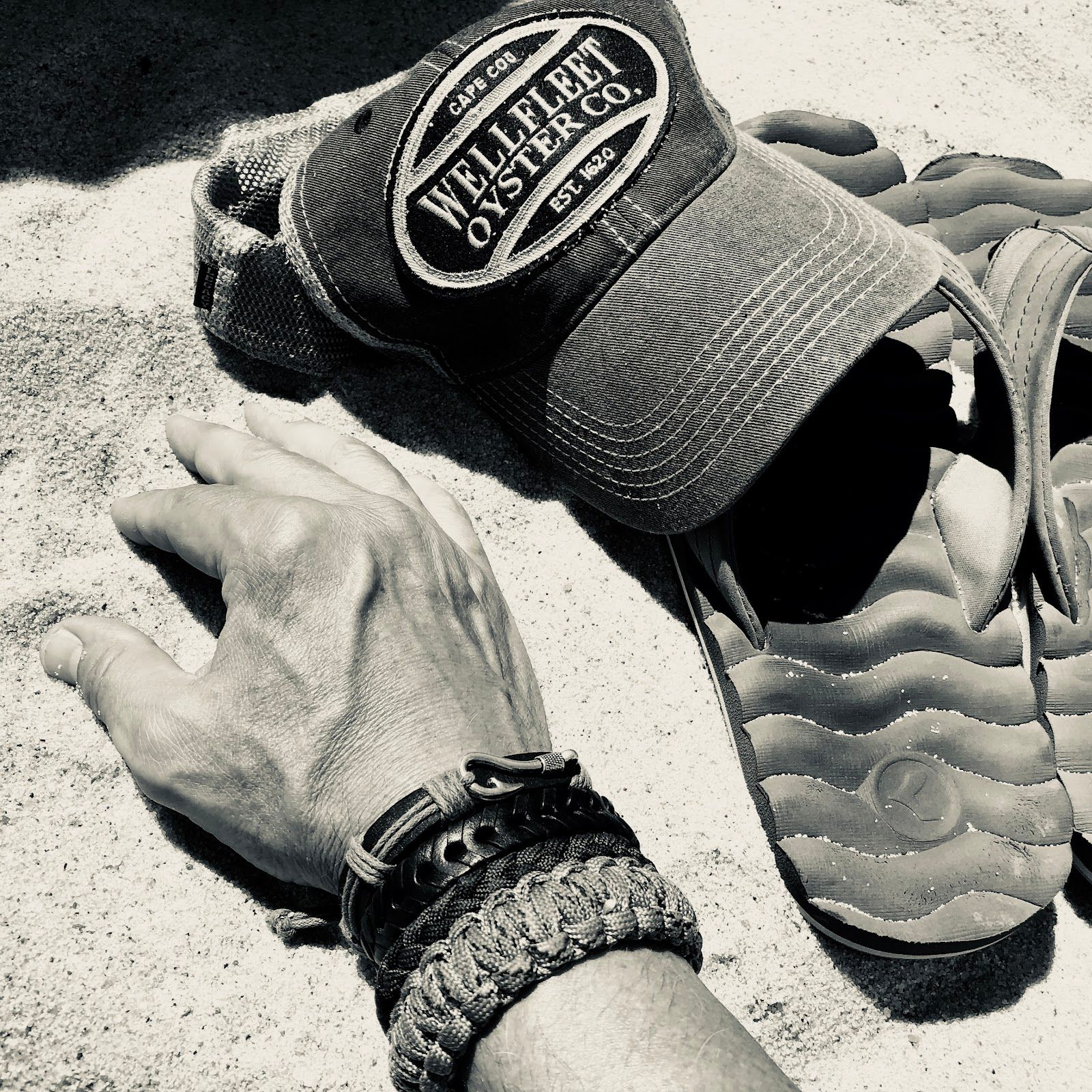 David_secondary_picture