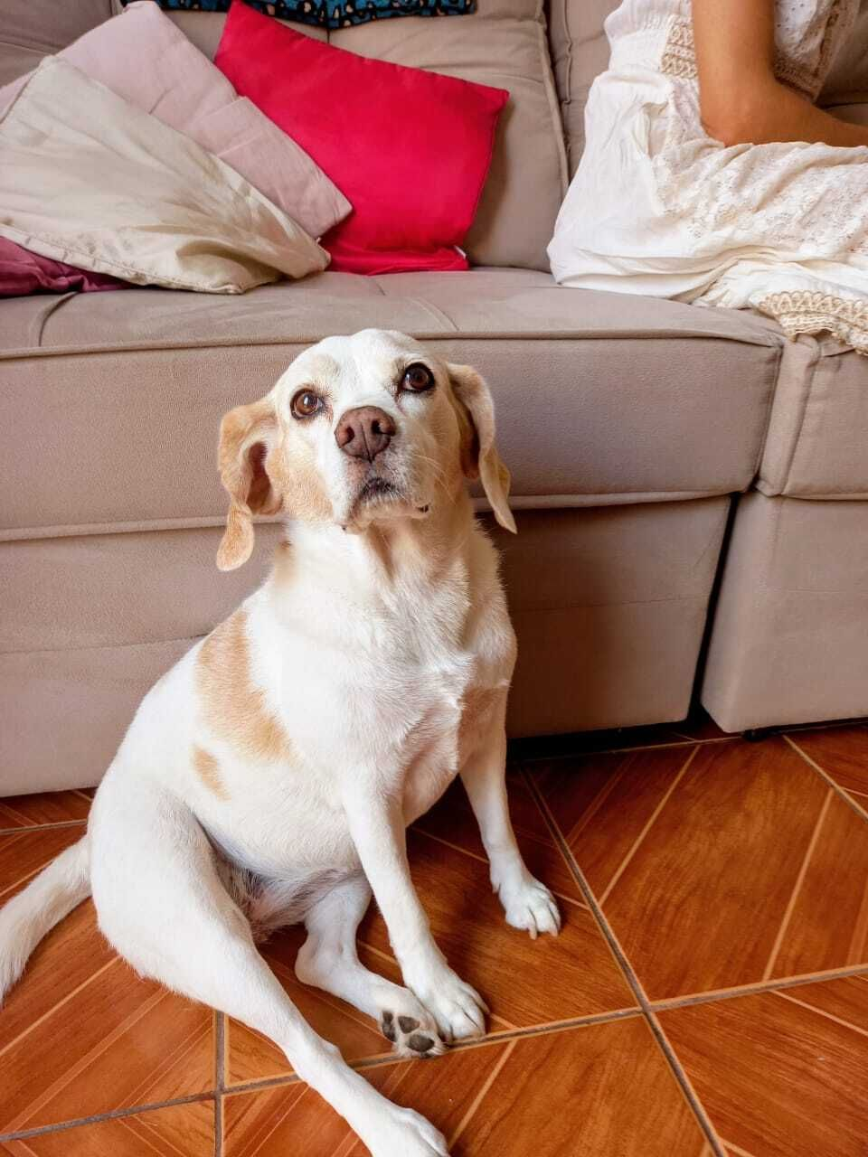 mika-image
